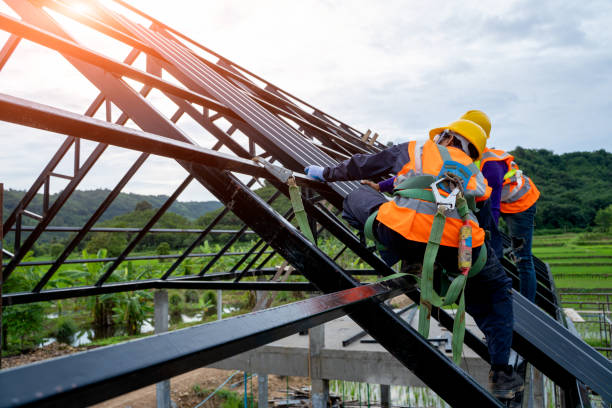 Best Local Roofing Companies  in Dellwood, MN