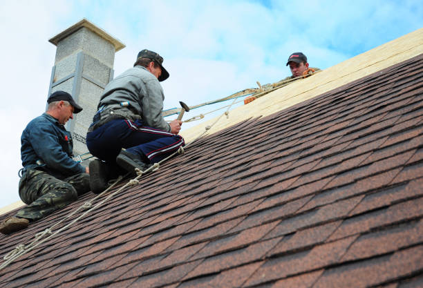 Best Storm Damage Roof Repair  in Dellwood, MN